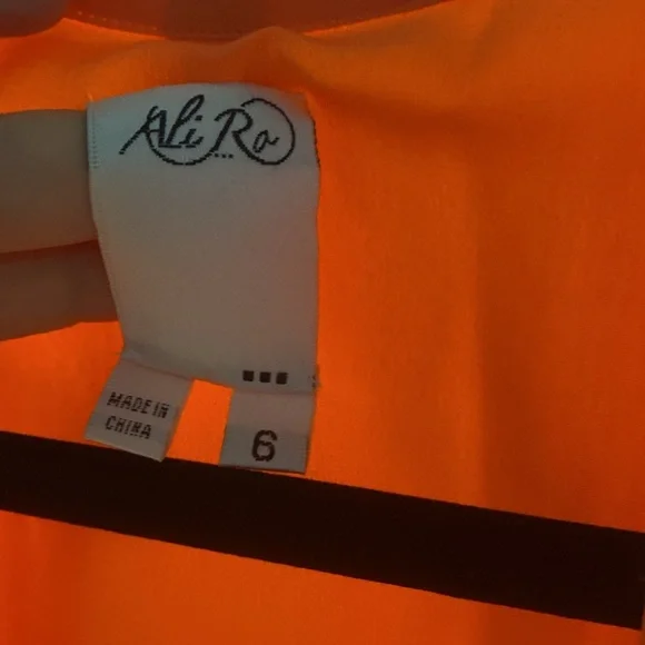 NWT Silk Ali Ro Coral Dress - Picture 3 of 8